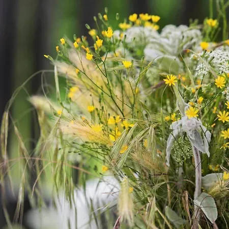 別荘 1585-vejby-plovmandsvang-27 Vejby